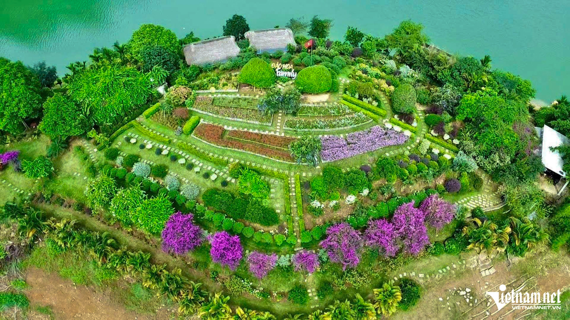 dao hoa thai nguyen 1jpg 86194.jpg