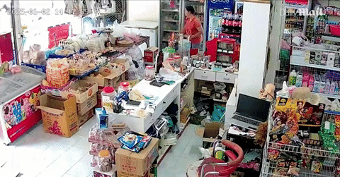 Voi rừng 4 tấn thản nhiên đi vào cửa hàng tạp hóa lục tìm đồ ăn