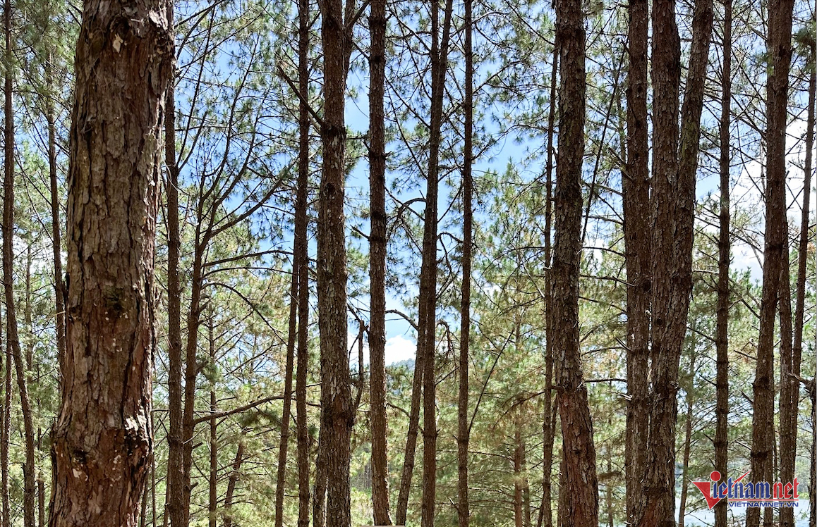 W-Ảnh màn hình 2025 04 09 lúc 08.09.19.png