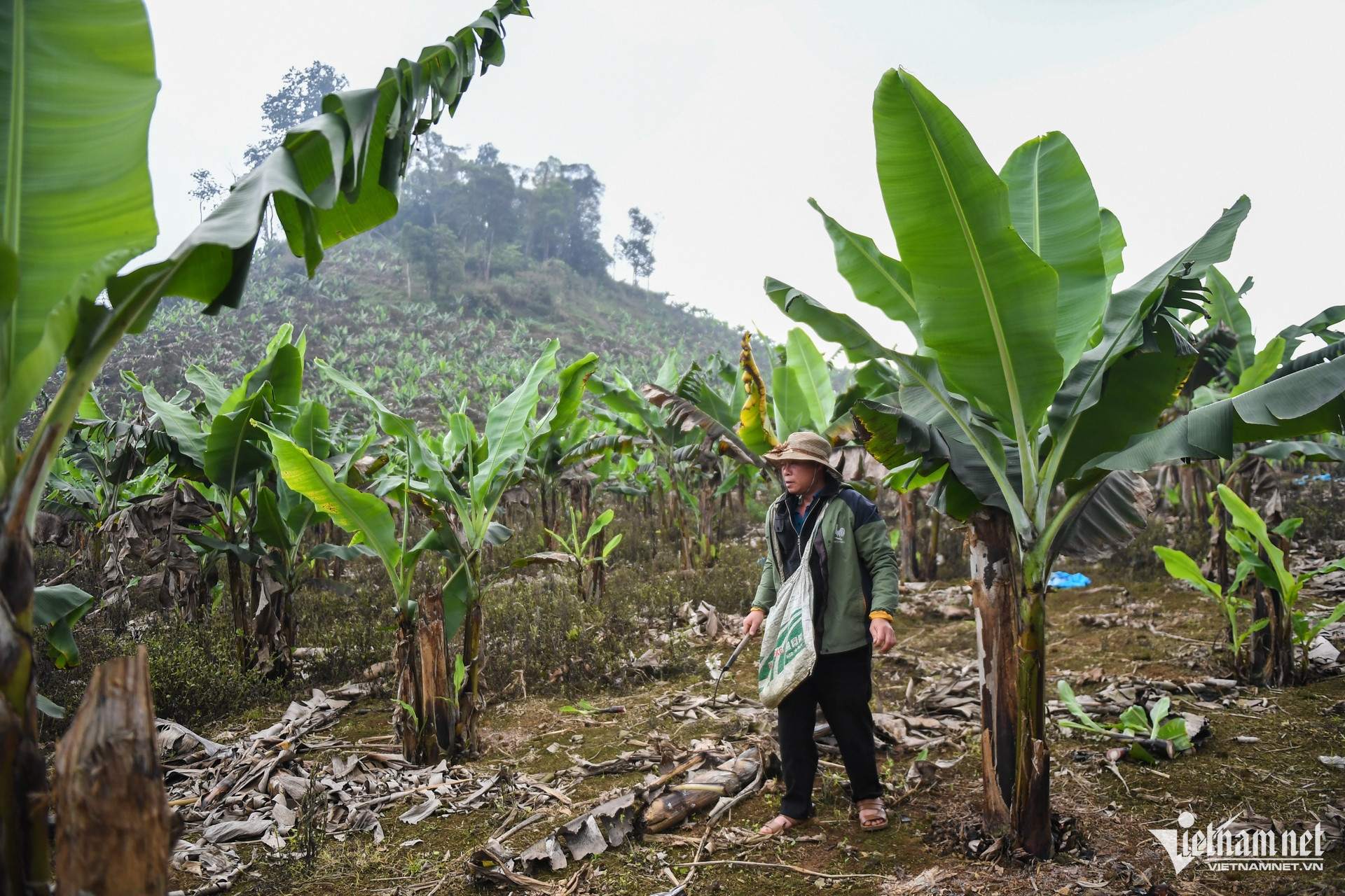 W-dan toc thieu so lao cai 4.jpg