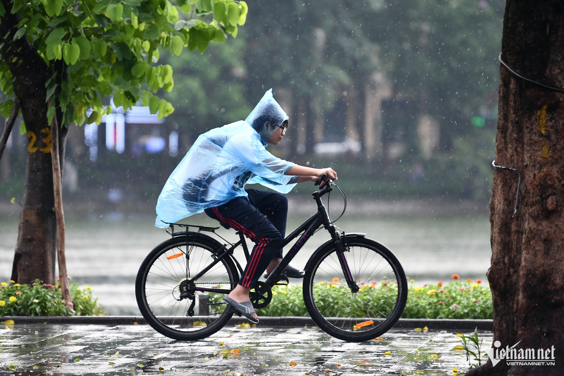W-mưa nhỏ_23.jpg
