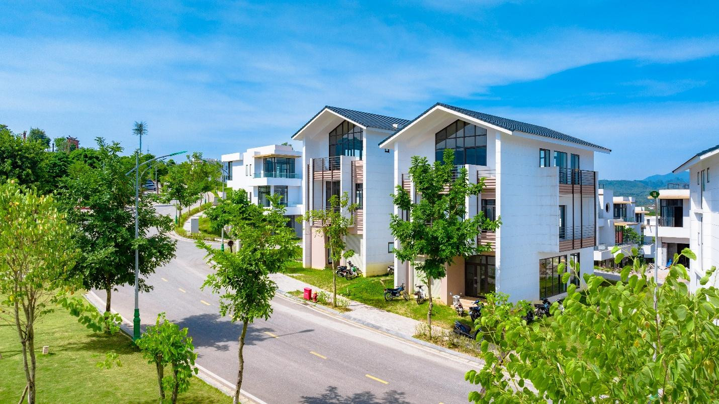 image003 (1) (1).jpg