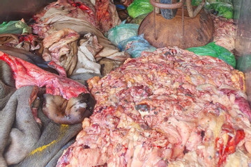 Một tài xế 16 ngày bị bắt hai lần do chở hàng tấn nội tạng bốc mùi