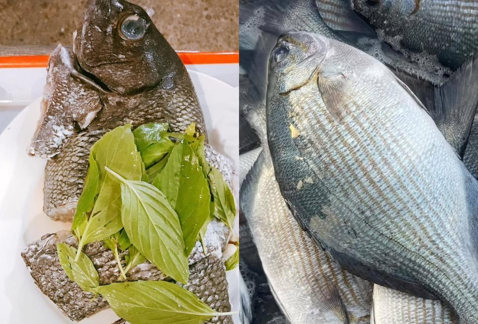 Đặc sản Lý Sơn có tên đáng sợ, thoắt ẩn thoắt hiện, có tiền cũng khó mua
