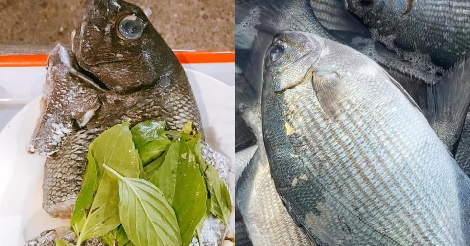 Đặc sản Lý Sơn có tên đáng sợ, thoắt ẩn thoắt hiện, có tiền cũng khó mua