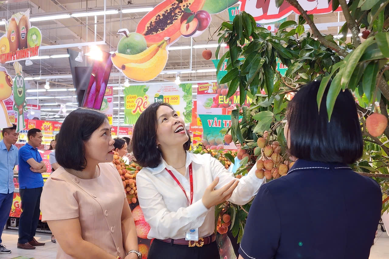Đặc sản vải Thanh Hà có mặt tại các hệ thống siêu thị ở Hải Phòng
