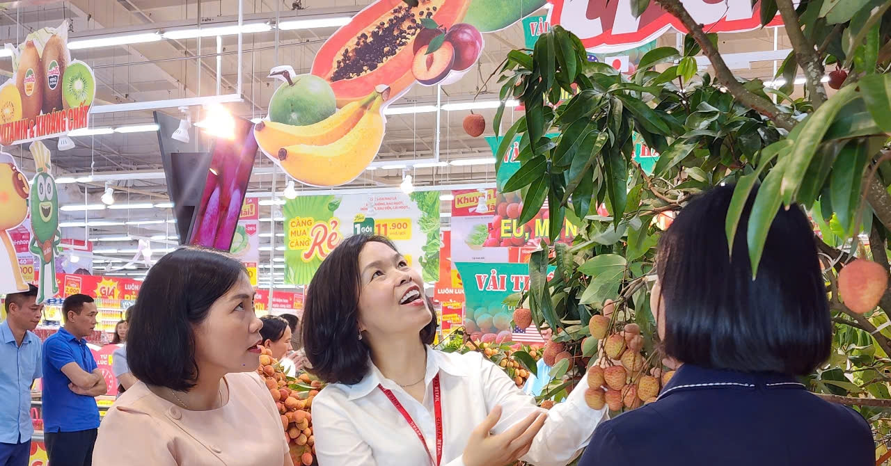 Đặc sản vải Thanh Hà có mặt tại các hệ thống siêu thị ở Hải Phòng
