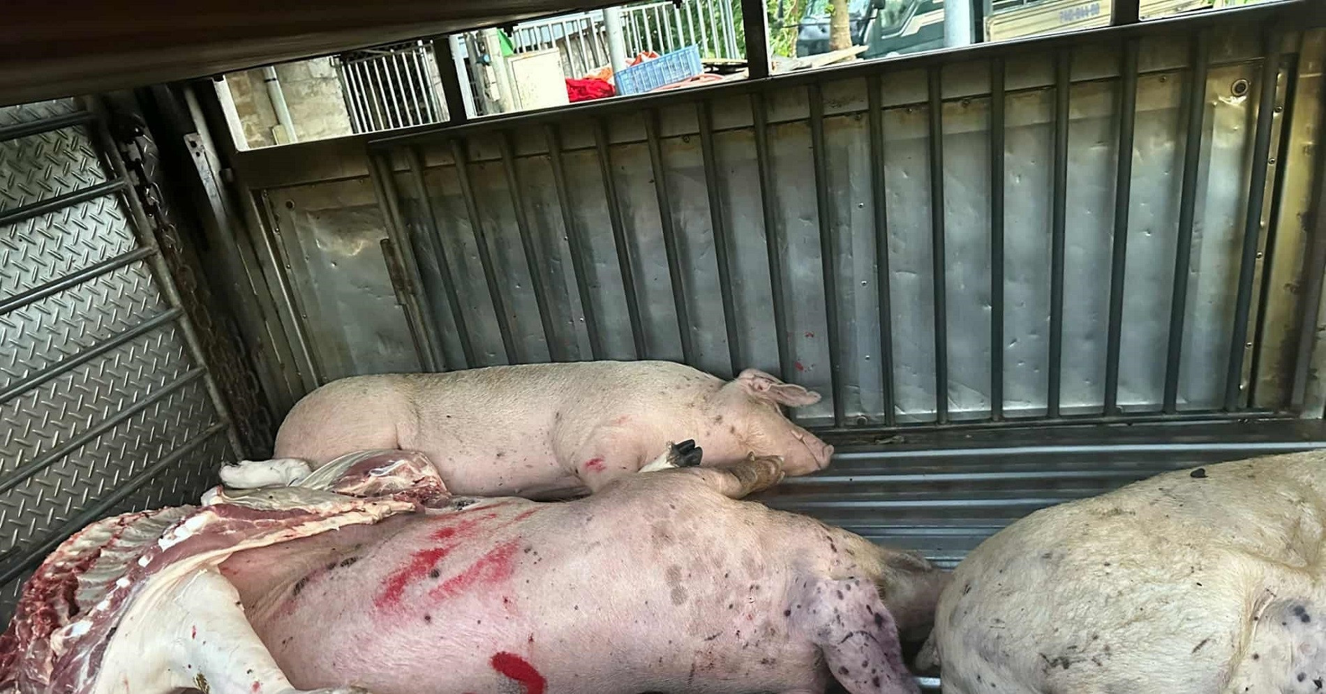 Tình tiết mới vụ C.P. Việt Nam; ngân hàng cho nhân viên nghỉ sớm chiều thứ Sáu