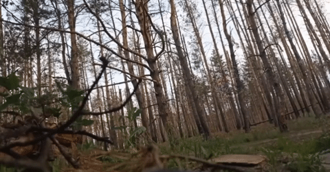 Video lính Nga vô hiệu hóa UAV Ukraine bằng kéo