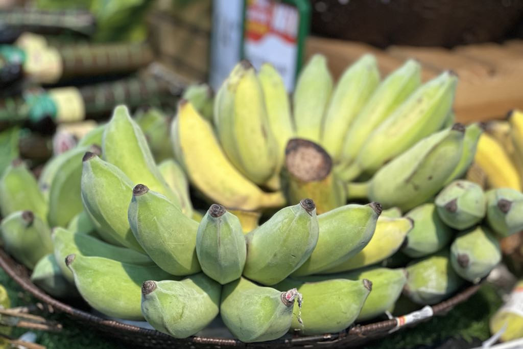 Ăn một quả chuối mỗi ngày, người phụ nữ đột ngột rơi vào hôn mê