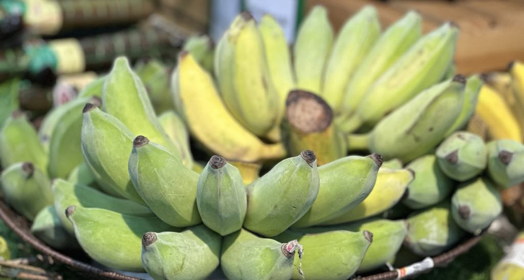 Ăn một quả chuối mỗi ngày, người phụ nữ đột ngột rơi vào hôn mê