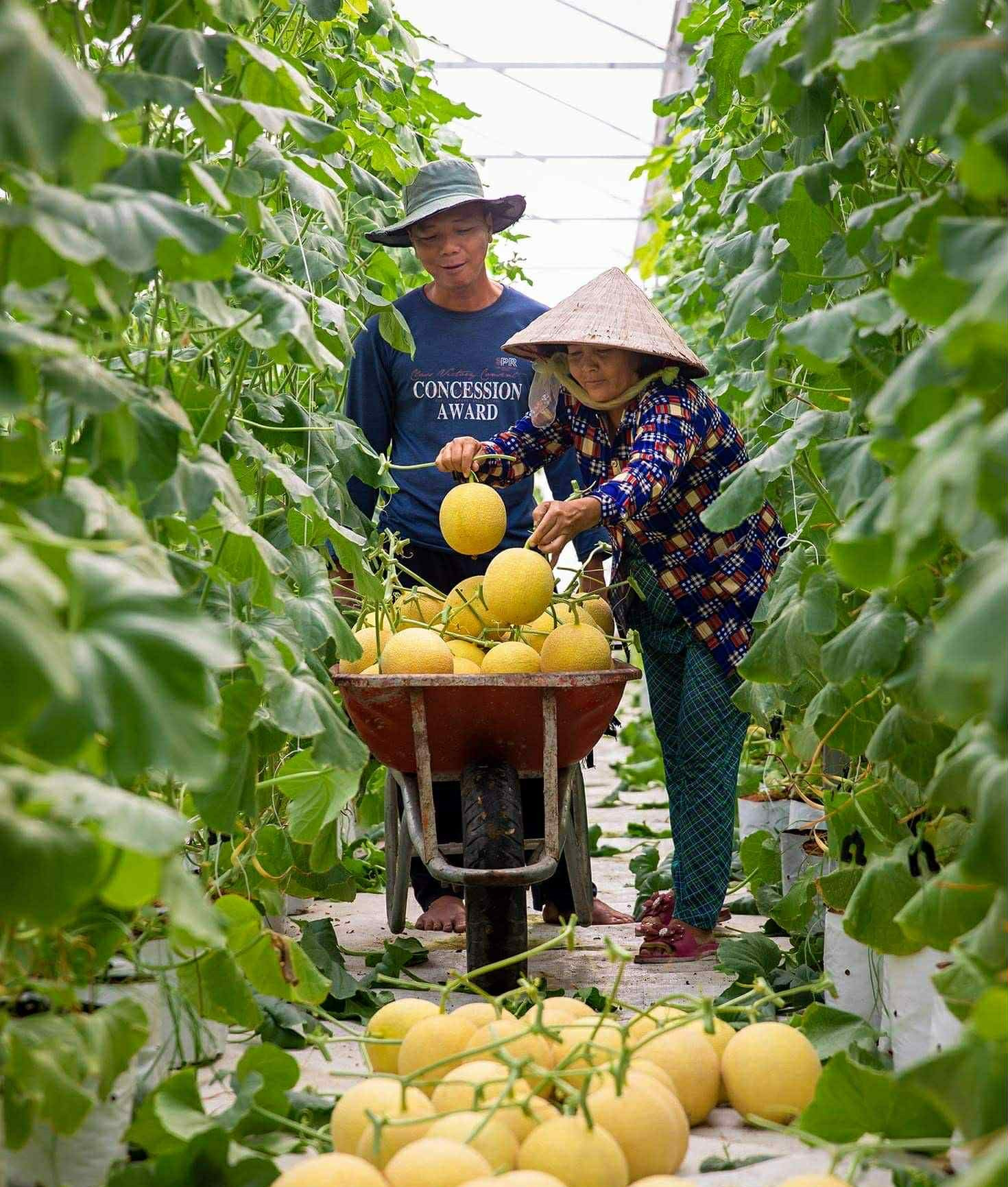 02 Giam ngheo ben vung.jpg