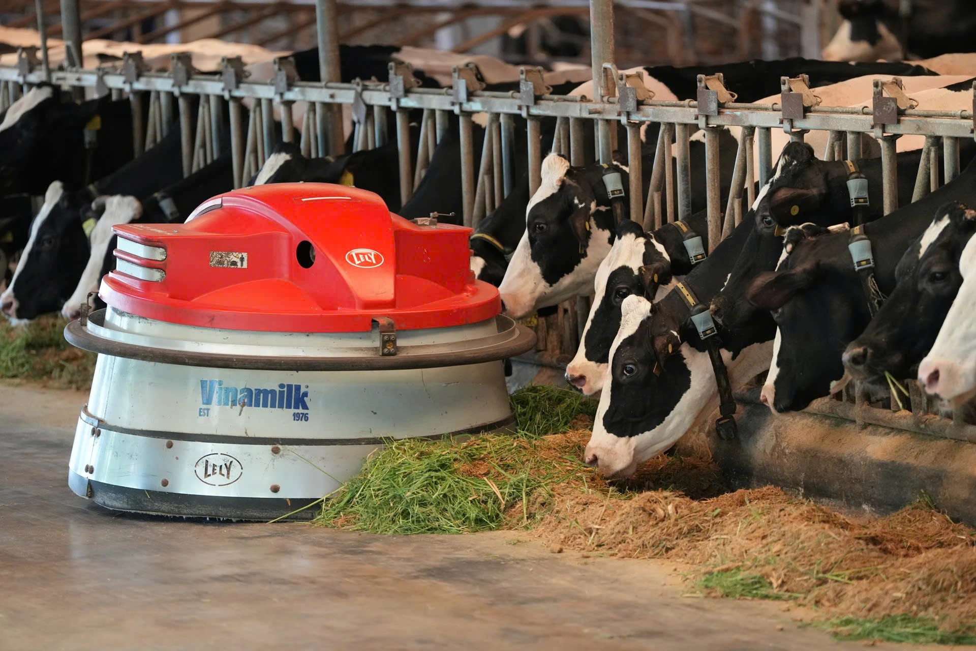 03 Giam ngheo ben vung.jpg