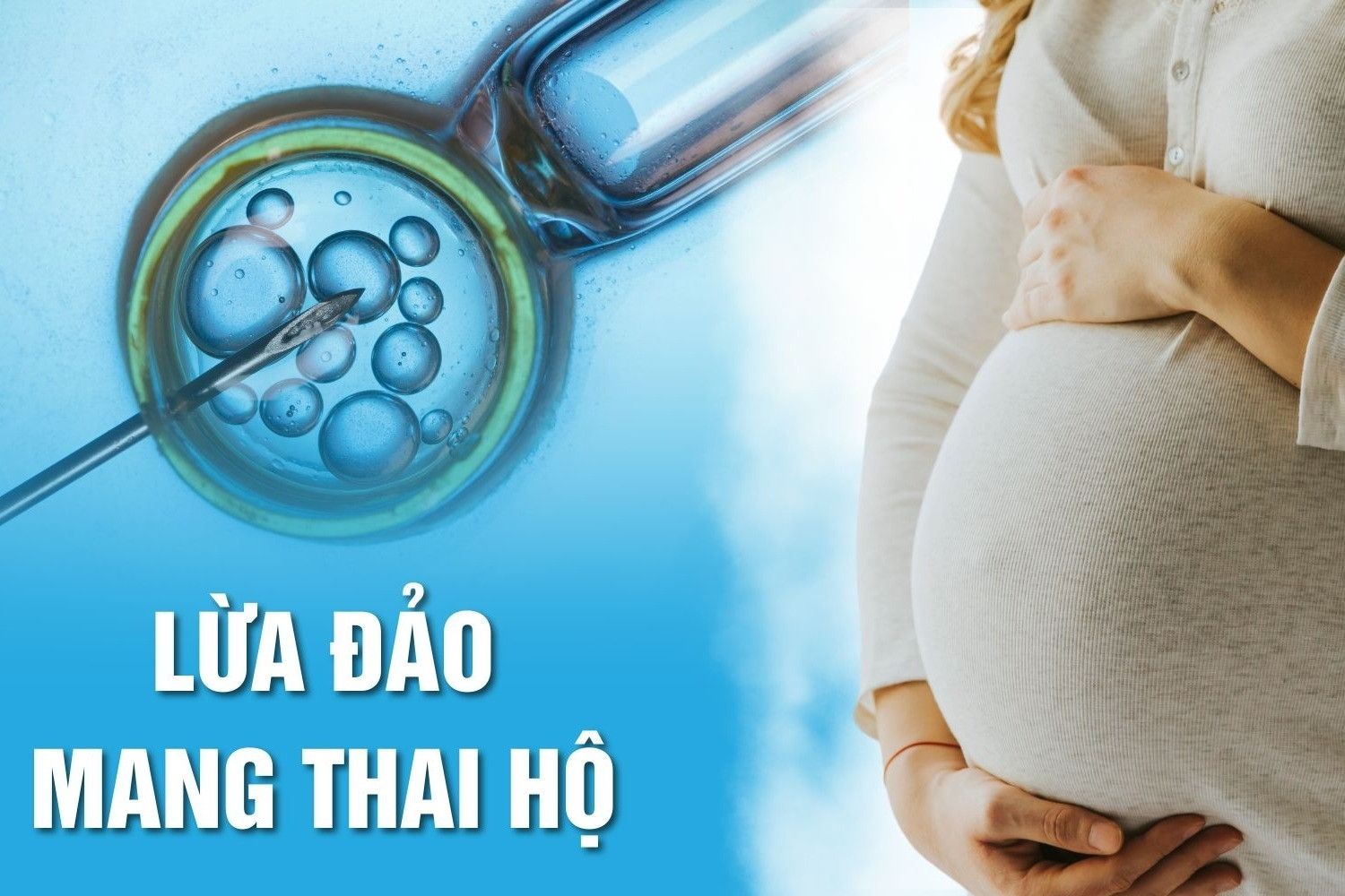 65 tuổi vẫn muốn có thêm con, người đàn ông bị 'thao túng tâm lý' mất tiền tỷ