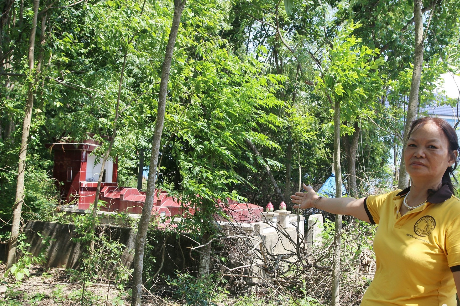 Mất 4,5 tỷ để chuyển đổi 300m2 đất vườn ở Nghệ An: Sở NN&MT làm rõ mức giá 15 triệu/m2