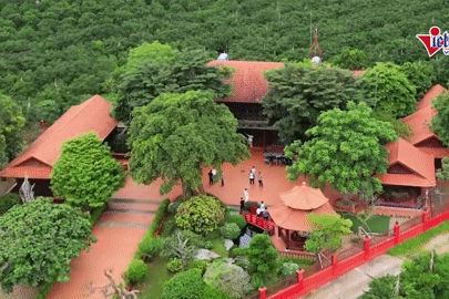 Trang trại 'ngựa phi mỏi gối' vừa bị công an Thanh Hóa khám xét của trùm giang hồ Vi ‘ngộ’