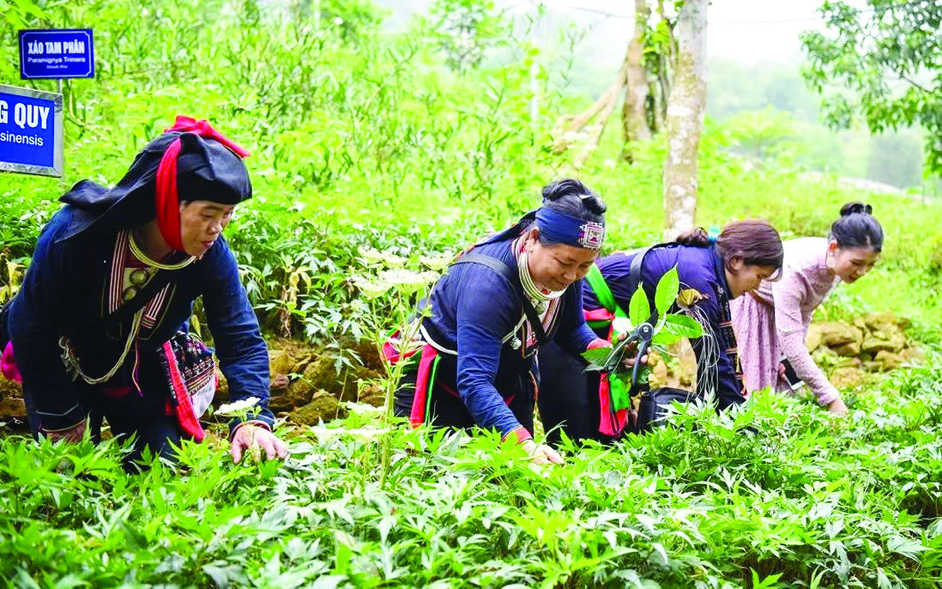 bộ dân tộc tôn giáo