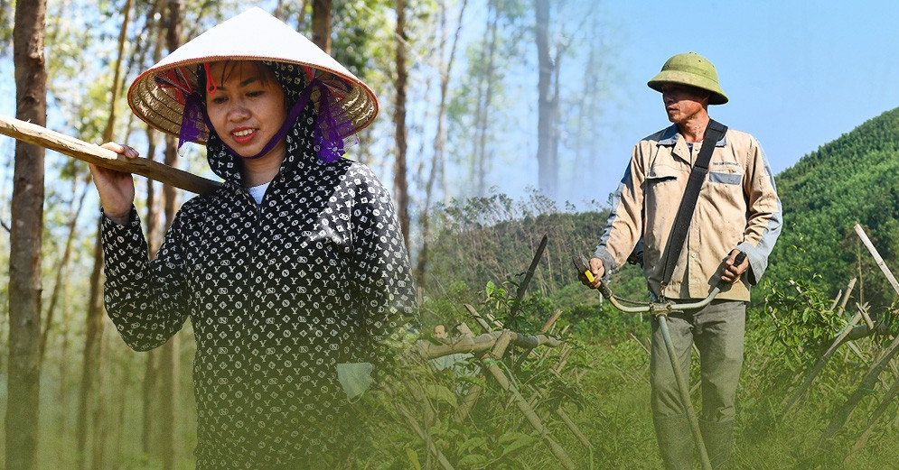 Bước tiến mới bền vững ở vùng đồng bào dân tộc thiểu số và miền núi