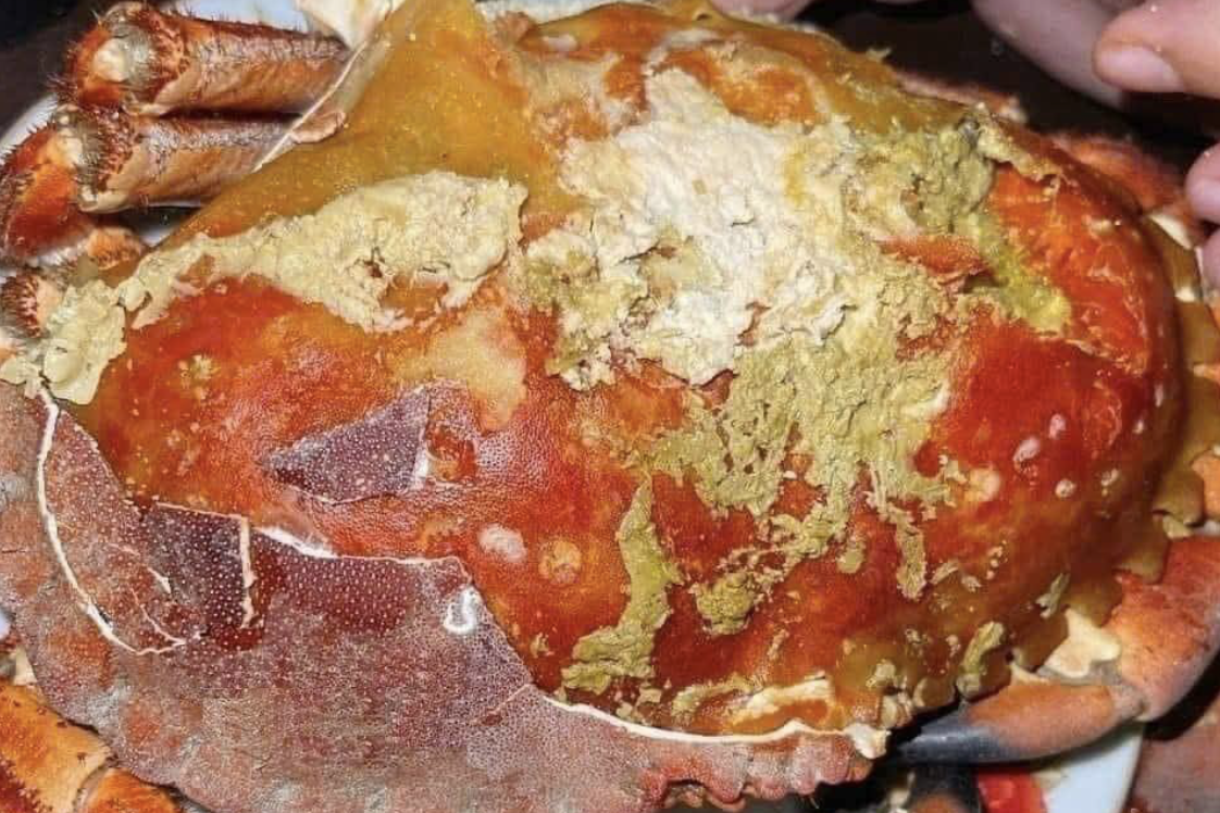 Cua ‘siêu gạch’ hàng khủng giá rẻ bất ngờ ở chợ online, dân tranh nhau đặt mua