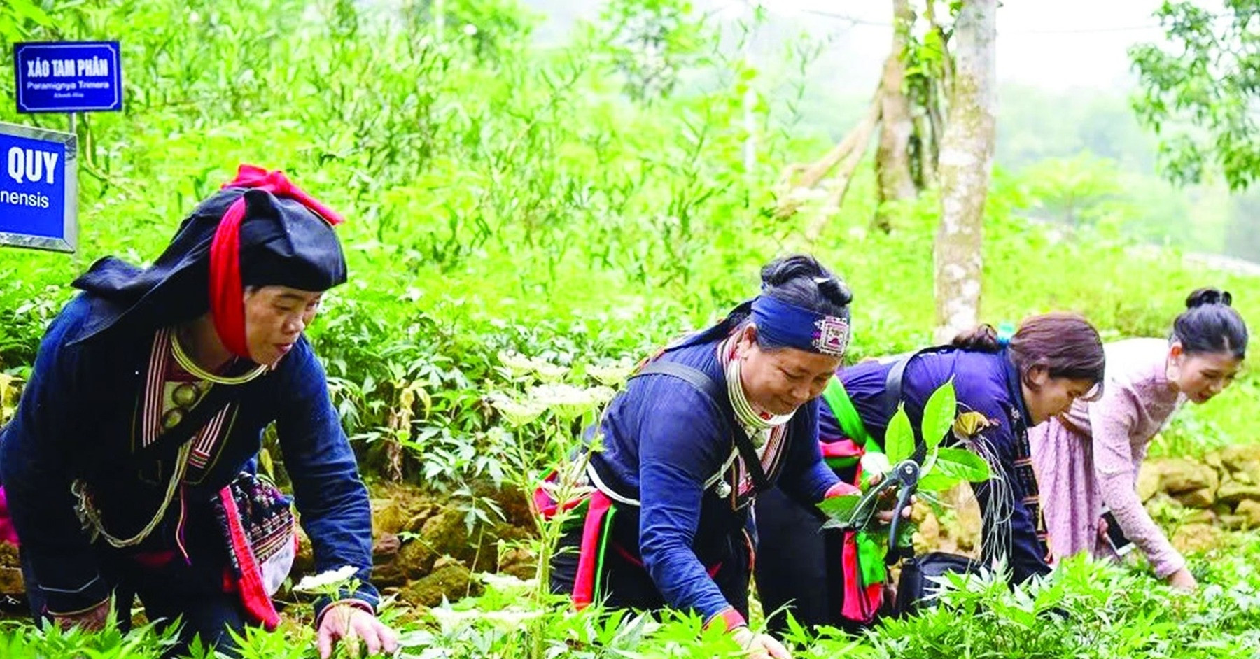 'Gốc có vững, cây mới bền'
