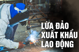 Mở Trung tâm Nhật Ngữ để lừa đảo người lao động, chiếm đoạt tiền tỷ