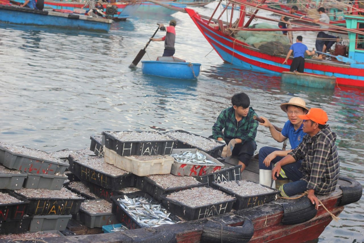 Thanh Hóa đẩy mạnh ứng dụng công nghệ, phát triển bền vững ngành thủy sản
