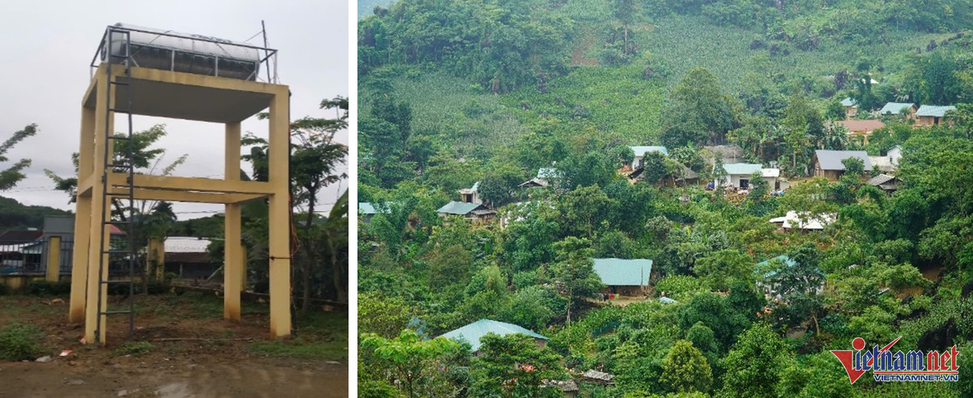 W-habitat Vietnam 00.jpg