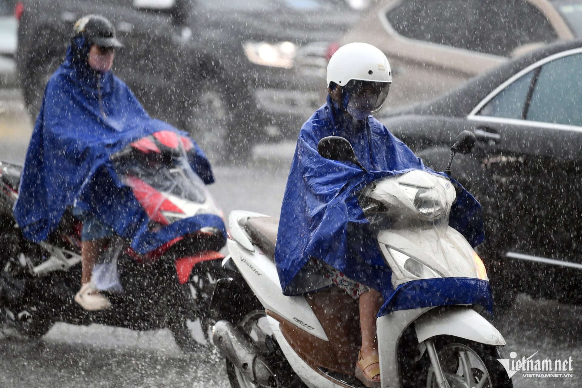 W-mua to hoang minh 7.jpg