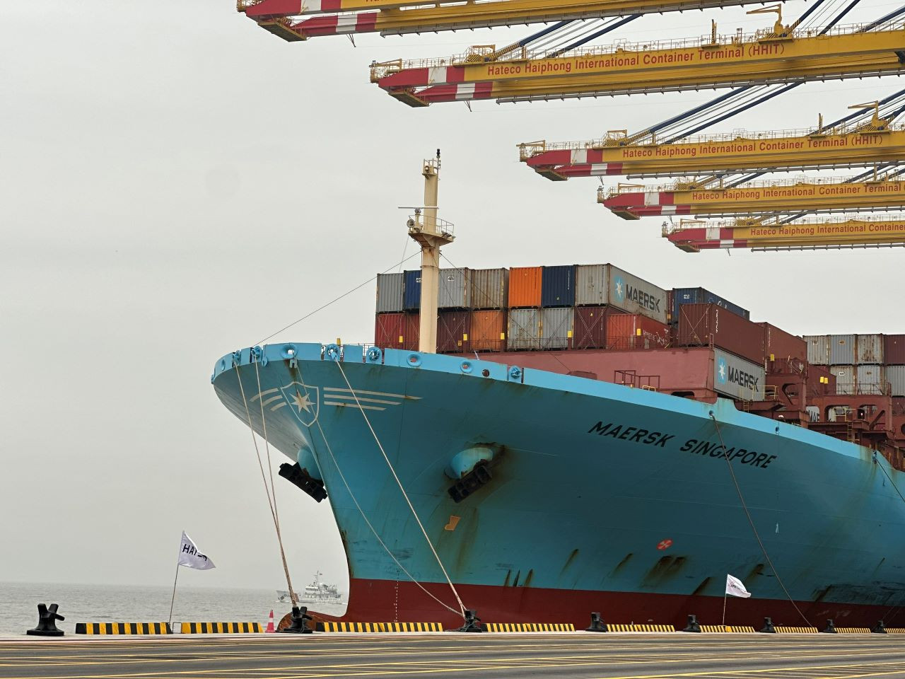 anh bai 1 cang ok.jpg