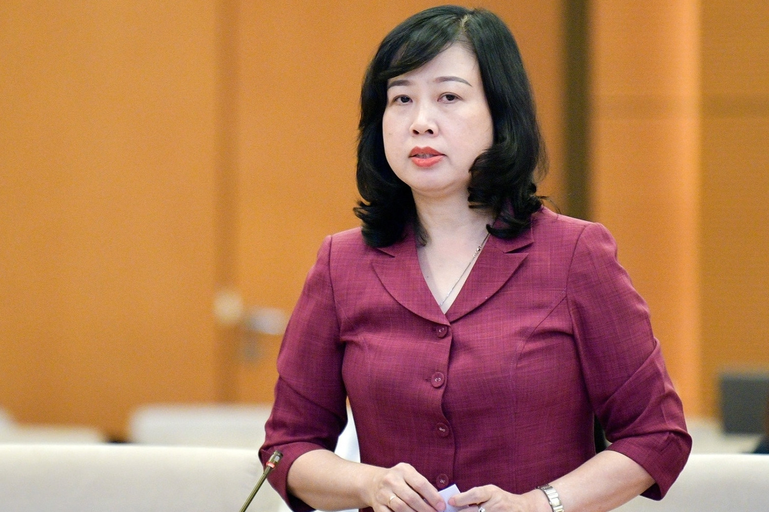 Bộ trưởng Y tế: Mức sinh ở Việt Nam thấp nhất trong lịch sử