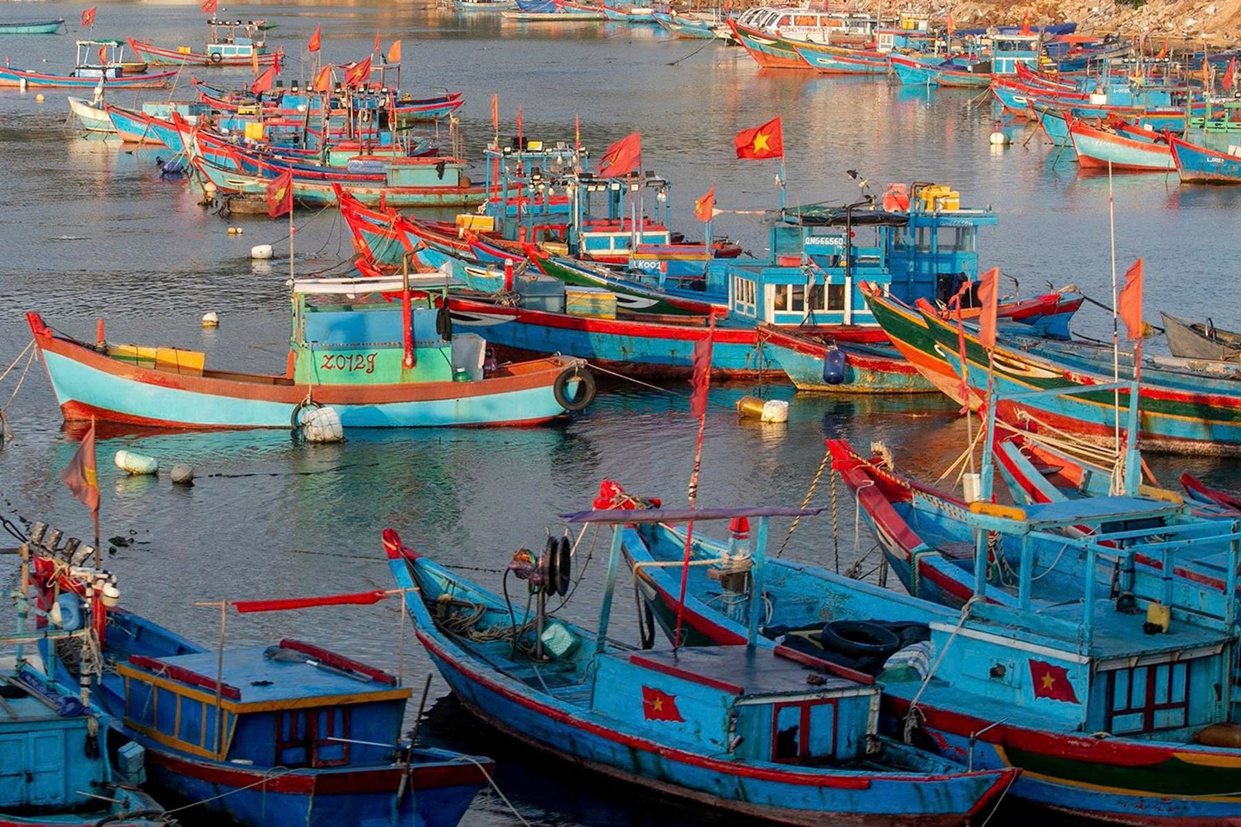 Cà Mau đang khẩn trương rà soát số hoá dữ liệu tàu cá