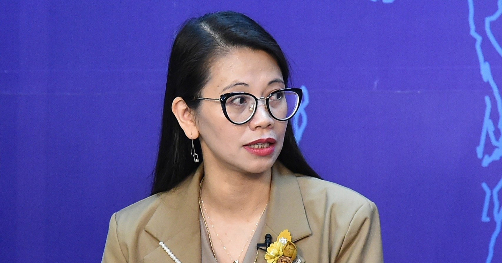 'Có Hội đồng trường nhưng thành viên đa số là người của hiệu trưởng'