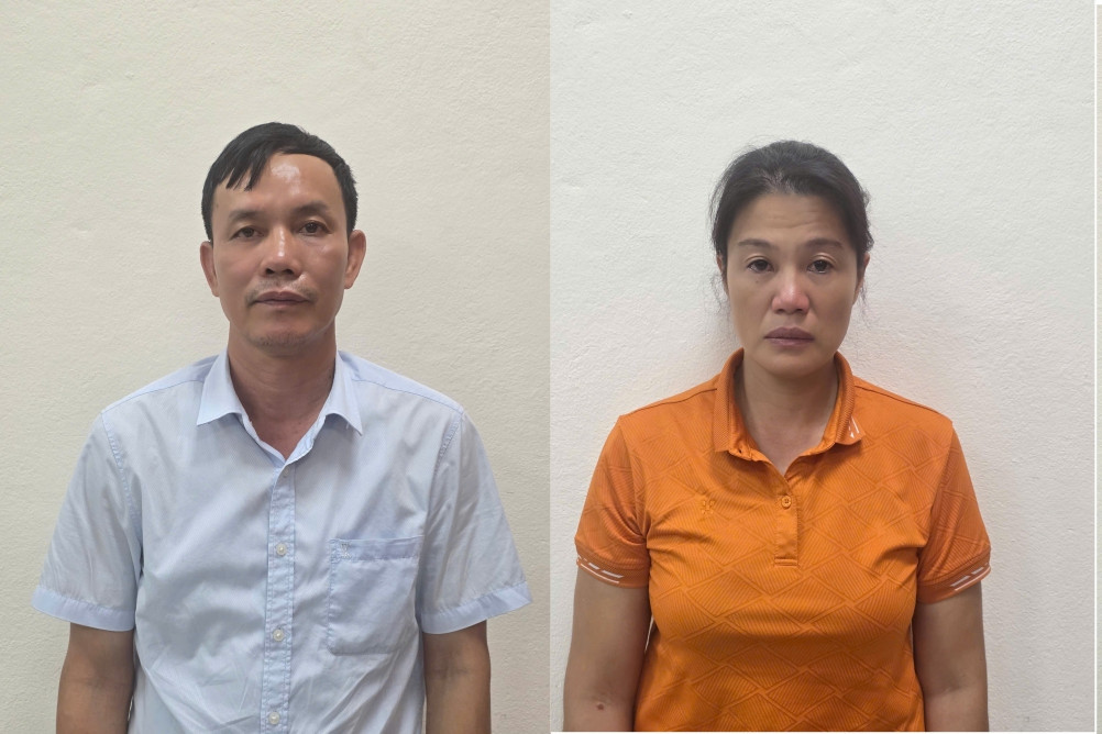 Khởi tố, bắt tạm giam giám đốc một công ty lâm nghiệp ở Quảng Ninh