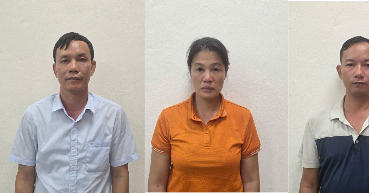 Khởi tố, bắt tạm giam giám đốc một công ty lâm nghiệp ở Quảng Ninh