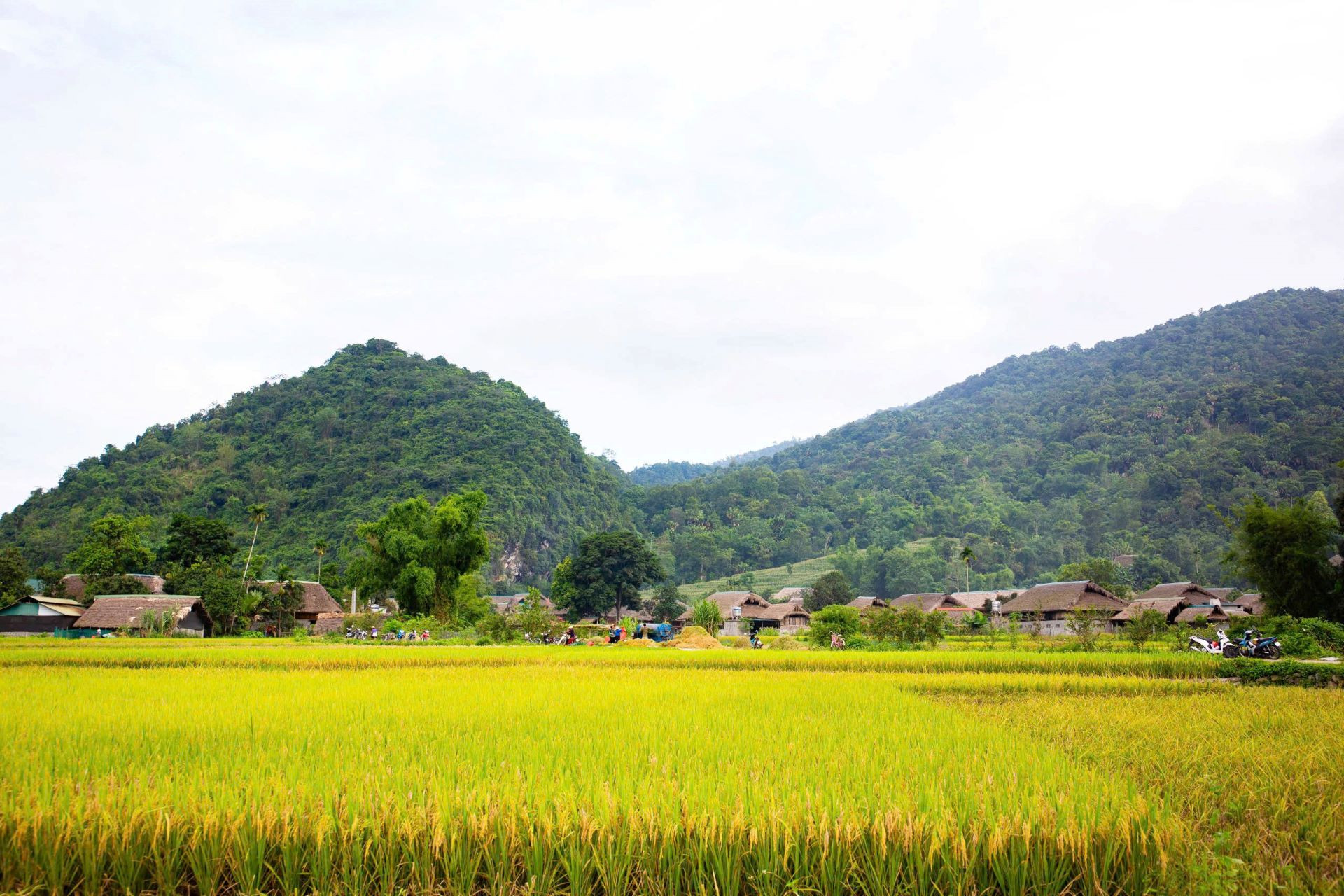 Thứ trưởng Y vinh 2.jpg