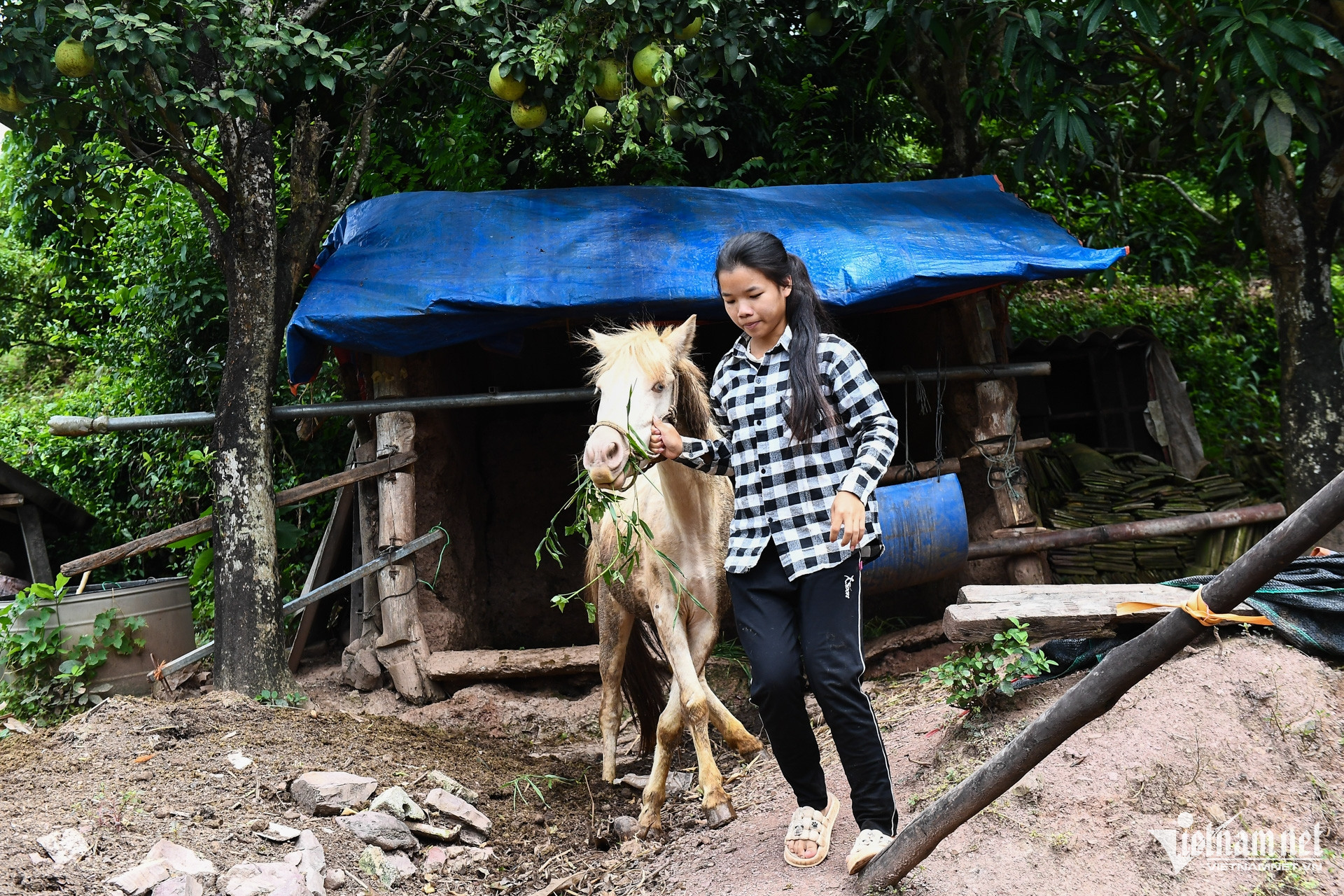 W-DTTS Bac Giang 14.jpg