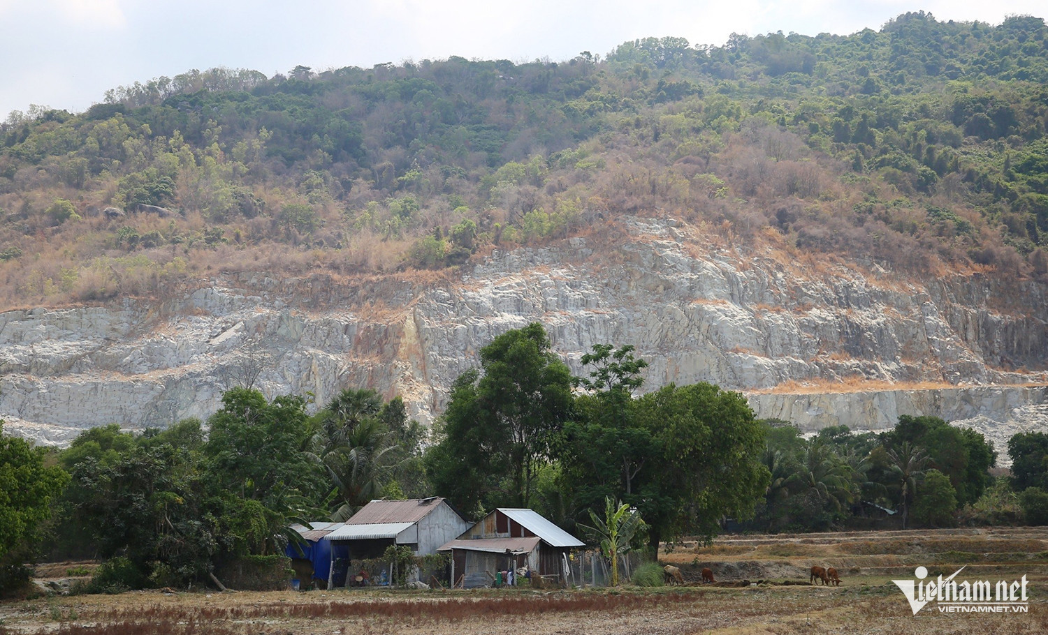 W-mỏ đá.jpg