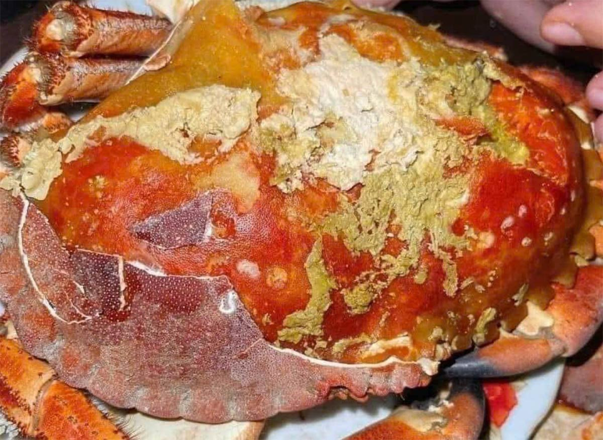 cua nau na uy 103426.jpg