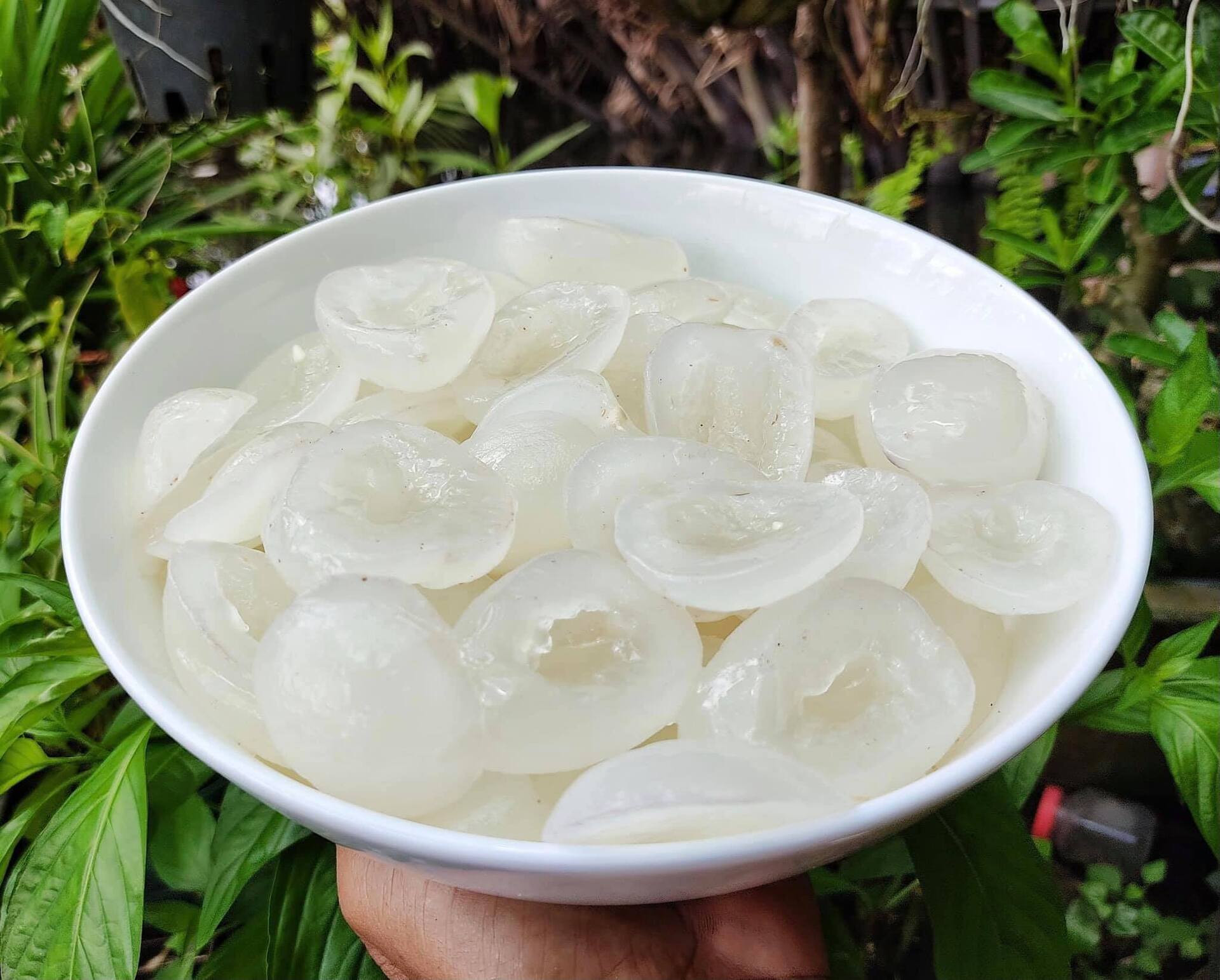 DỪA NƯỚC 2 THÊM LT.jpg