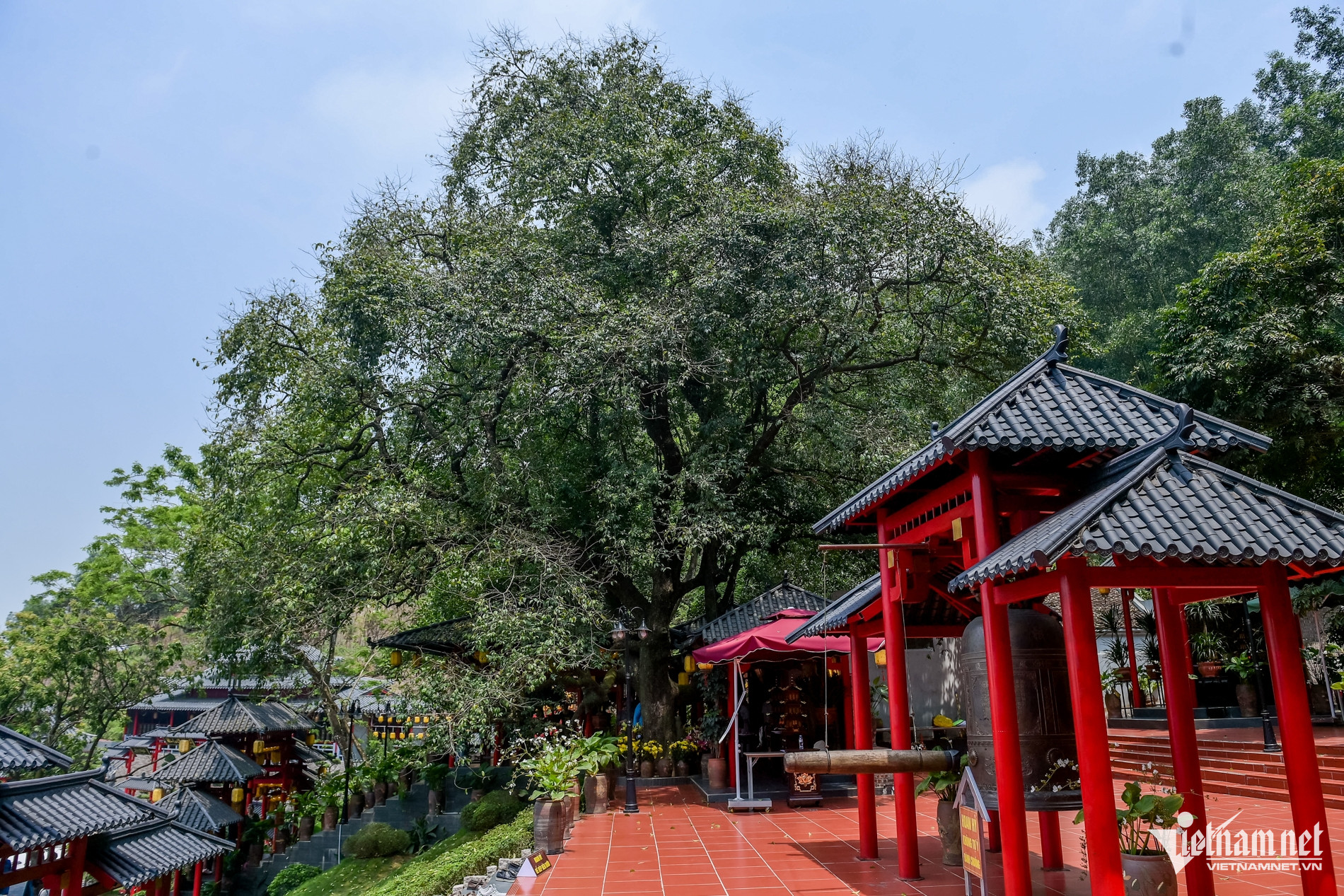 W-Chùa cây thị_12.jpg