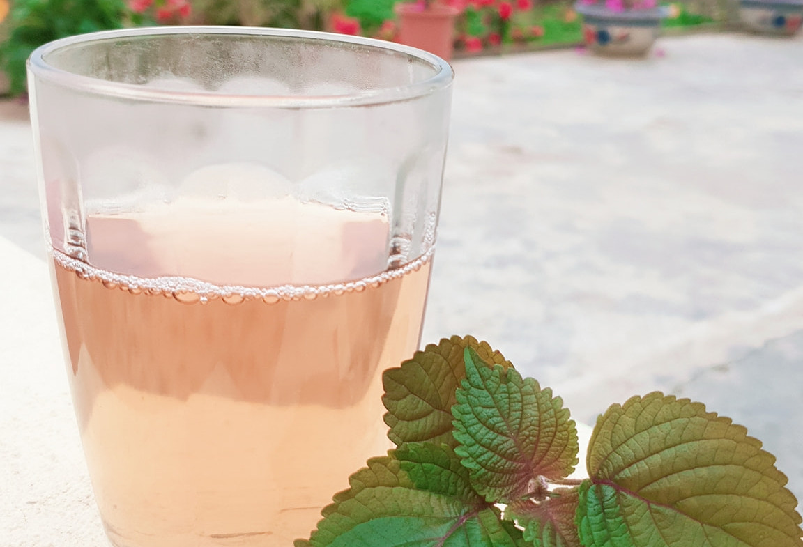 3 không khi uống nước lá tía tô