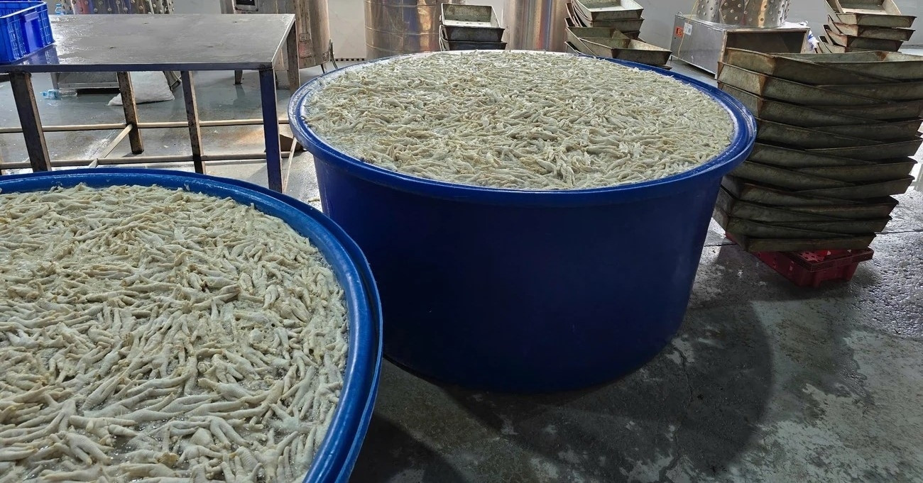 Cảnh sát kiểm tra kho chân gà 13 tấn, phát hiện sự thật khó chấp nhận