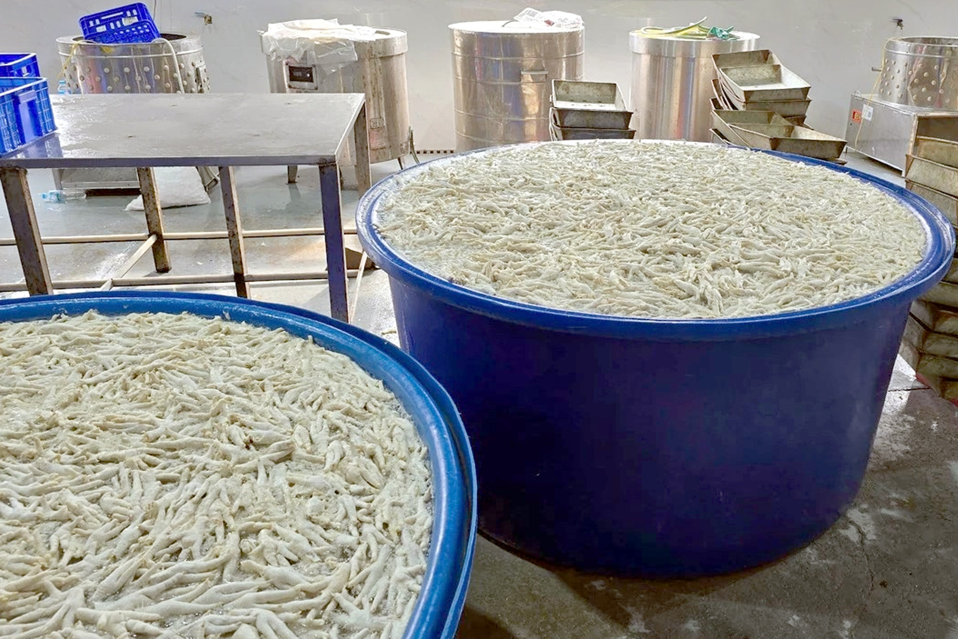Cảnh sát kiểm tra kho chân gà 13 tấn, phát hiện sự thật khó chấp nhận