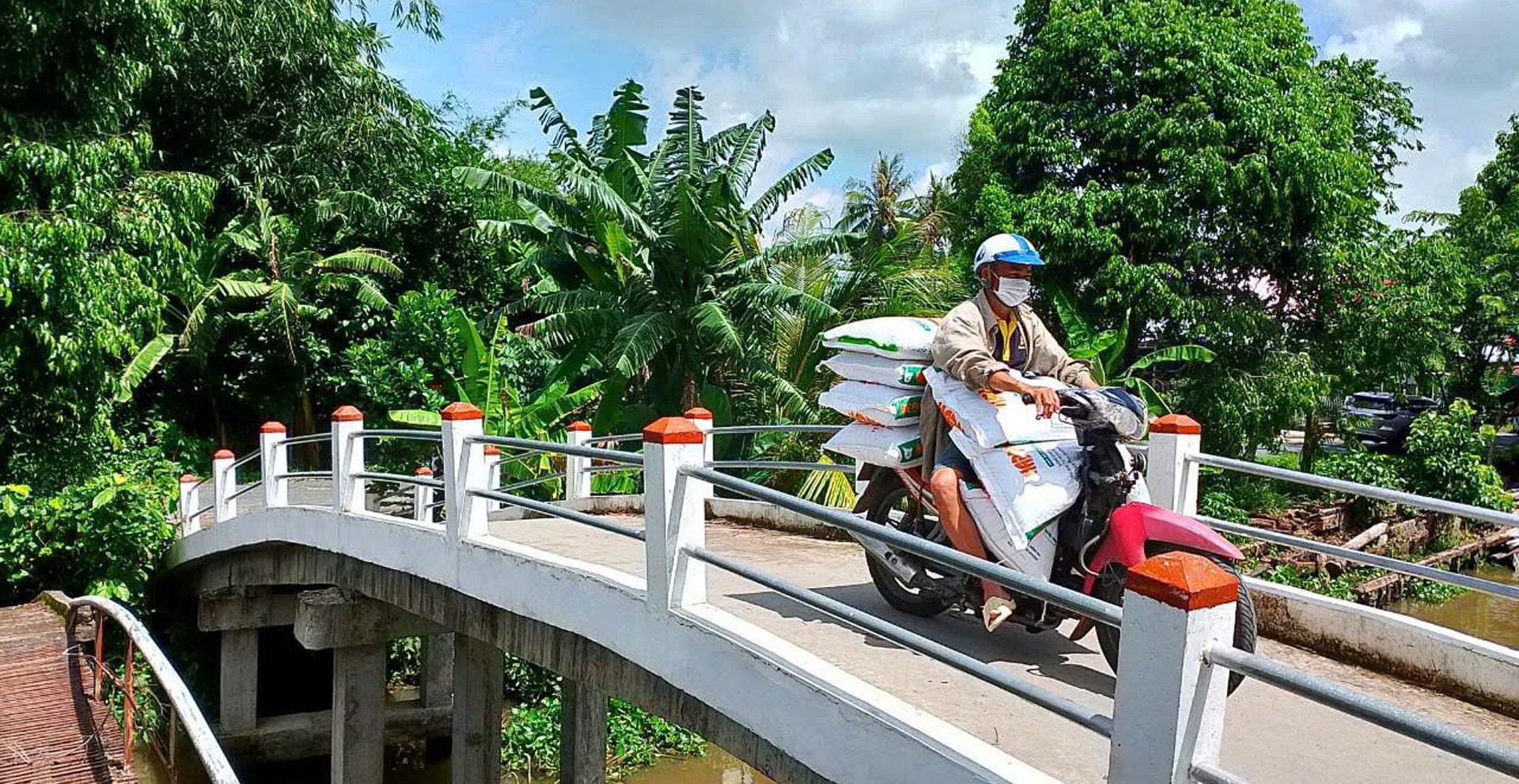 habitat Vietnam 02.jpg