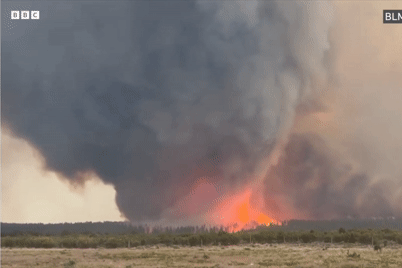 Khoảnh khắc cháy rừng biến thành xoáy lửa khổng lồ