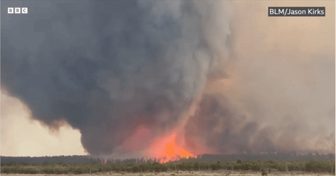 Khoảnh khắc cháy rừng biến thành xoáy lửa khổng lồ