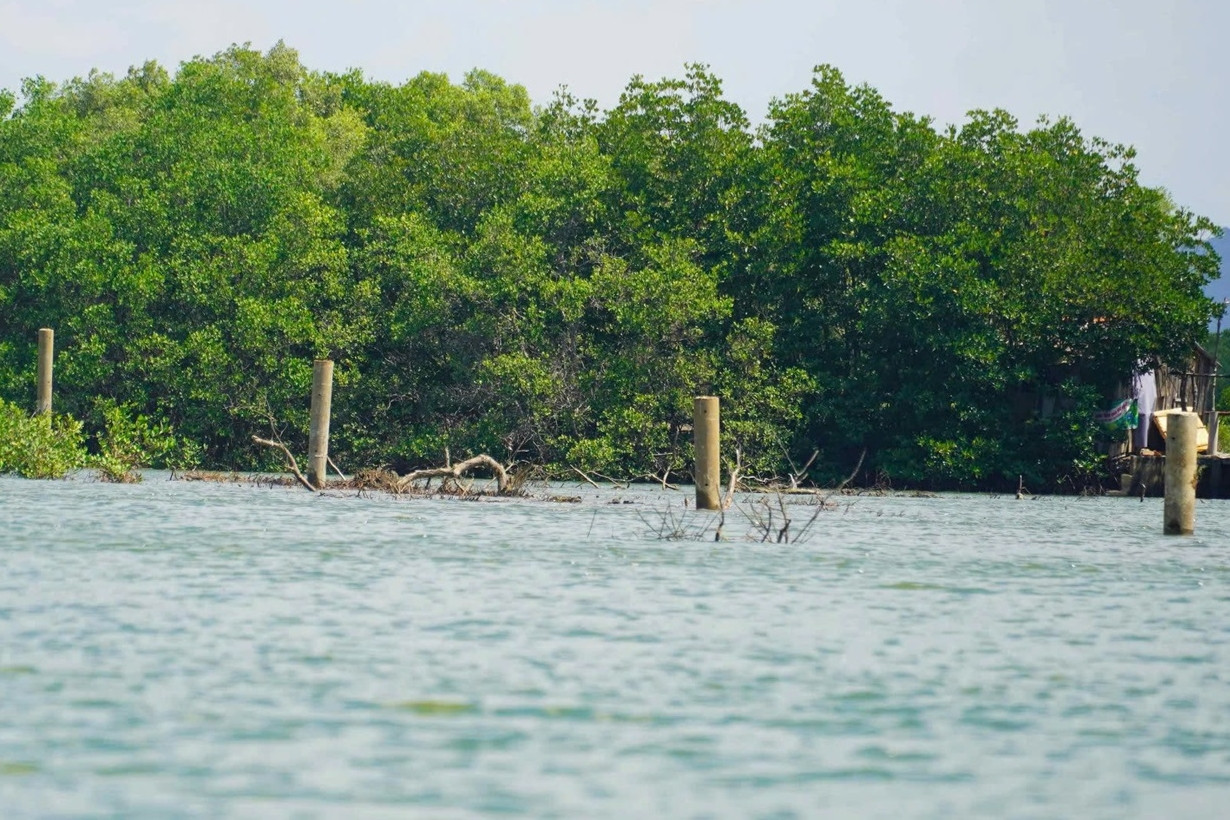 Ngỡ ngàng loạt cọc bê tông cao đến 5m 'mọc' bất thường giữa sông ở TPHCM