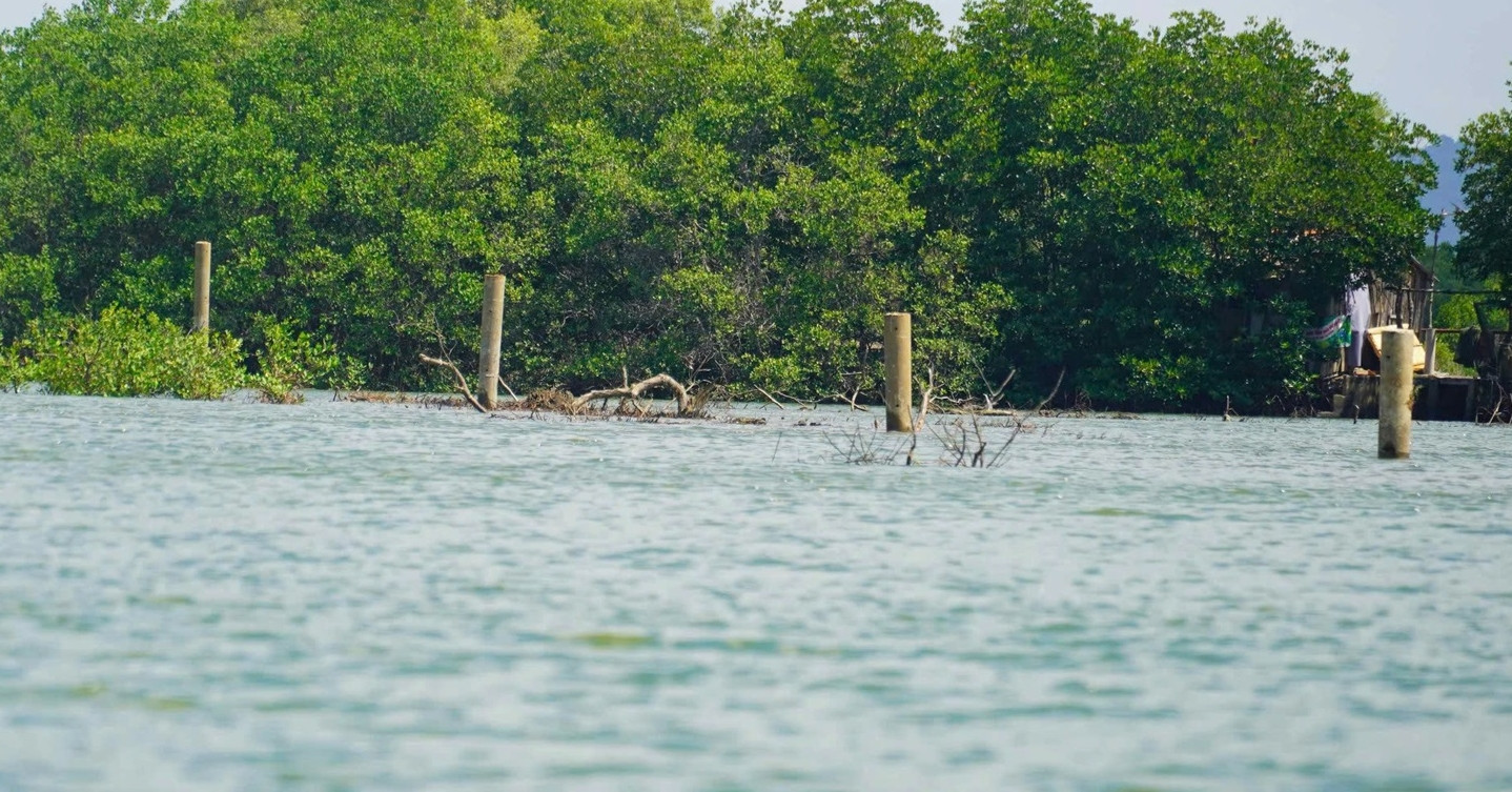 Ngỡ ngàng loạt cọc bê tông cao đến 5m &amp;apos;mọc&amp;apos; bất thường giữa sông ở TPHCM