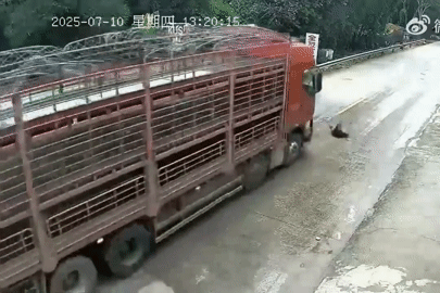 Thanh niên thoát chết kỳ diệu sau khi ngã ra đường, bị xe tải tông văng