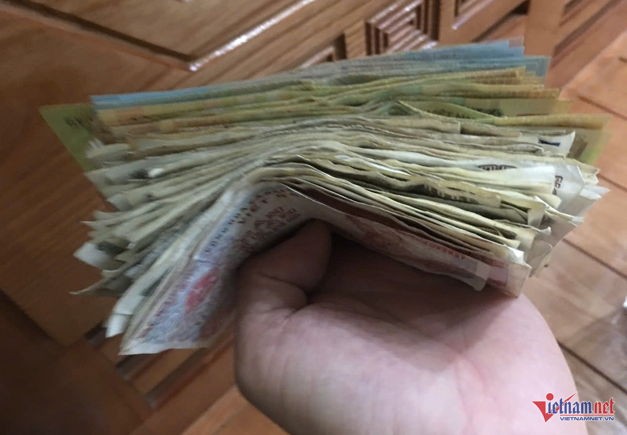 W-678e1c12 adde 4476 95c9 e892d4b5a08b.jpg